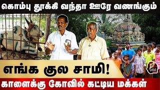 ஒரு ஊரே அழுதுச்சு இப்படி பண்ணிட்டாங்கன்னு! தெய்வமாக எங்களை வழிநடத்தும் காளை.| KAALAI KOVIL | MELUR |