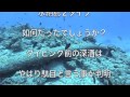 ７月１４日　水納島ボートファンダイビング　om様ik親子様