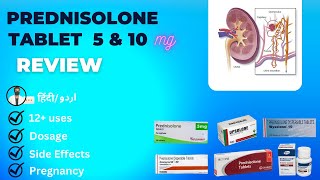 Prednisolone 5mg | Prednisone | Prednisolone Dispersible Tablets 10 mg in Hindi | Medical Creator