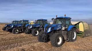 Szalma Bálázás I Straw Season I Stroh Pressen - New Holland T8.390 - Krone BigPack 1290 HDP [2024]