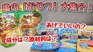 【GEX・マルカン】亀と仲良くなろう！５種類の亀のおやつを一気に開封してみた！カメのパン！かめかめぴゅーれ！【亀のおやつ】