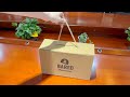 Luxury shoe packaging box with handle