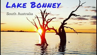 Camping at Lake Bonney. River Murray. South Australia. Van Life on the Murray River