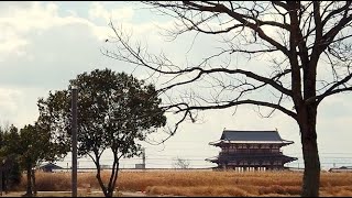 バーチャルサイクリング用　平城京跡から30分