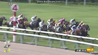 【競馬レース結果】北九州記念　アレスバローズ　重賞連覇！