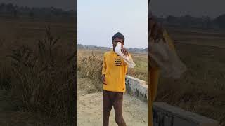 Badshah song #pigeon🕊️ #trening #short #video #subscribe