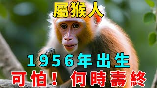 可怕！屬猴之人，1956年丙申年出生，2025年是69歲，何時壽終？【禅悟】#生肖 #運勢 #風水 #財運#命理