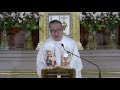 role of your guardian angel homily by fr. dave concepcion