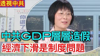 【透視中共-專訪】前深圳外企財務總監揭露中共GDP數據造假內幕｜中共可複製香港城卻無法複製精神和靈魂｜2025/01/09