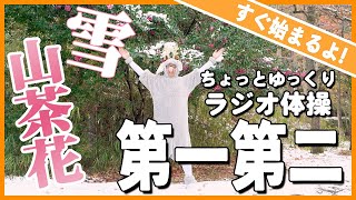 【　ラジオ体操第一第二　すぐ始まるよ！　】　ちょっとゆっくりペースです😄　運動不足解消に毎日笑顔でラジオ体操！