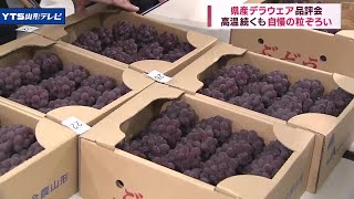 生産量日本一のデラウェア 品評会開催