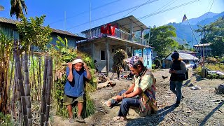 Beautiful Sugarcane Farming In Nepal | Mountain Rural Village Activities | DB Limbu