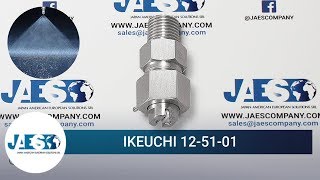 IKEUCHI 12-51-01 - Spruzzatore superiore