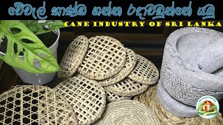 රදාවඩුන්නේ වේවැල් භාණ්ඩ බලන්න යමු | Cane Industry in Sri Lanka | Beauty of Simplicity