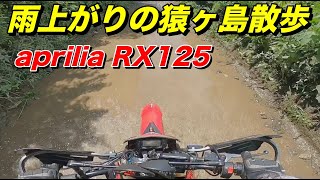 雨上がりの相模川河川敷散歩、猿ヶ島エリア Part1. アプリリア RX125 【モトブログ】大人のバイク