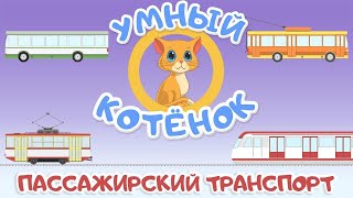 Пассажирский транспорт и Умный котенок.Обучающий мультик для малышей. Развивающий про машинки