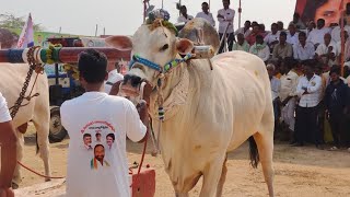 2024-ధర్మవరం.6పళ్ళు.🥇🏆.GMR మెమోరియల్ కొల్లిపర కంబైన్డ్ మోదుగుల రామిరెడ్డి గారు పెద్దపరమి గుంటూరు