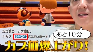 【あつ森実況】かぶ価が、５００円オーバー！爆上がり！！しかし残りはあと１０分！！