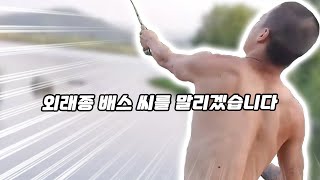 물고기 마리당 153만원?! 저는 이제 부자입니다 ㄷㄷ