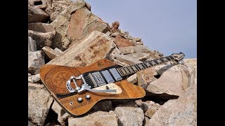 Veranda Dynabird Guitar