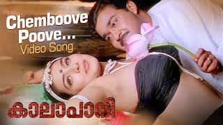 Chemboove Poove Video Song | Kaalapani | KS Chithra | MG Sreekumar | Ilayaraja | Mohanlal | Tabu