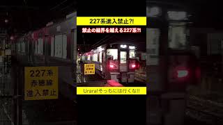 227系進入禁止！の横を通過する227系Urara ?! Uraraが禁止の結界を超えて行く?? #227系urara #進入禁止 #東岡山駅