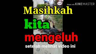 Masihkah kita mengeluh (Motivasi)