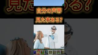 【衝撃】突然声が出せなくなり… 【切り抜き】 #shorts #新人VTuber #minecraft