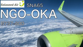 Solaseed Air SNA65 B737-800 Nagoya Centrair(NGO) to Okinawa Naha(OKA) | Flight video