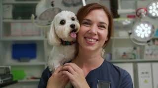 Koi - Veterinary Practice Management Software