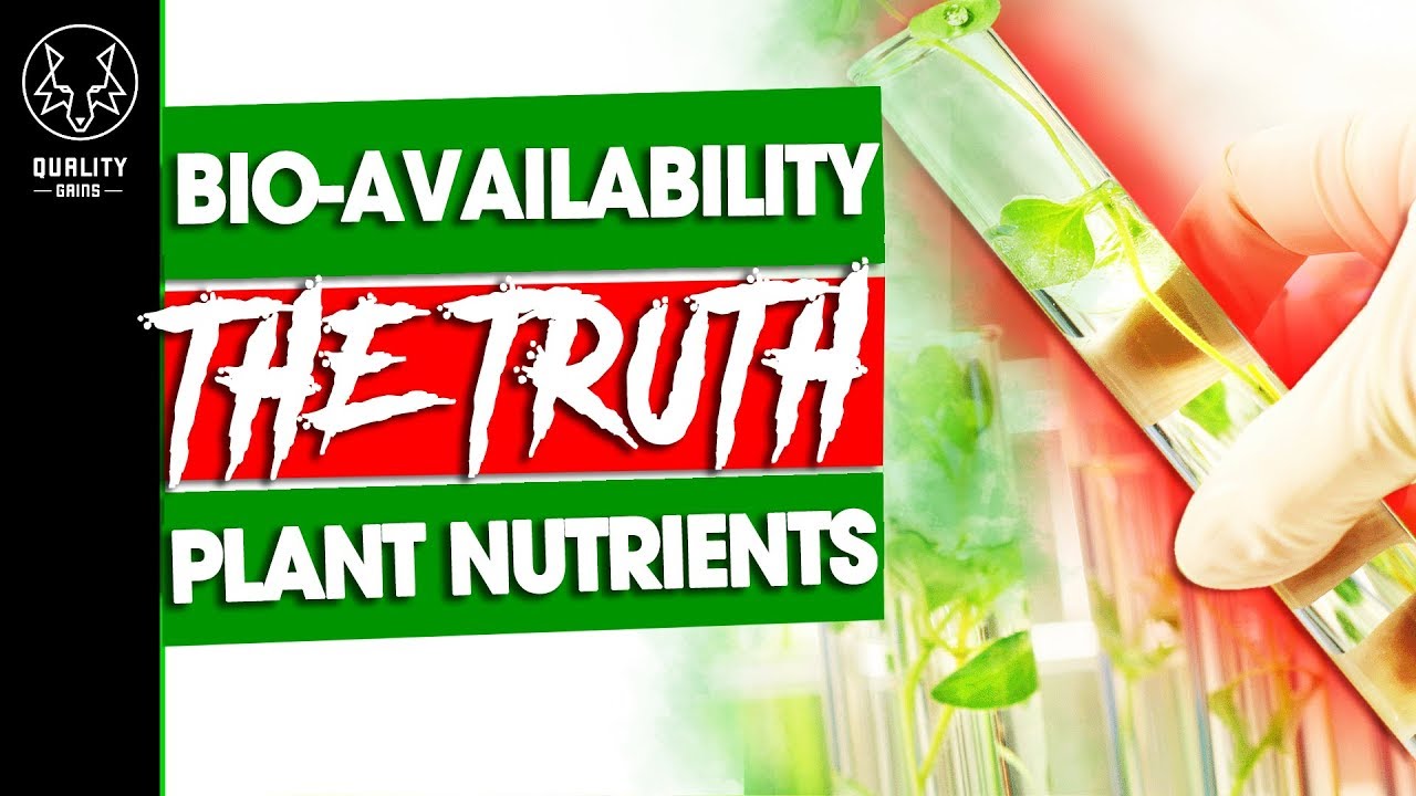 The Truth About Bioavailability - The REAL Nutrients In Plants - YouTube