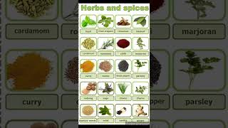 Herbs and Spices | English Grammar | English Vocabulary