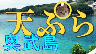 【沖縄観光】天ぷらと猫の島「奥武島」で食べ比べ、天ぷらを勝手にランキング！　011　【okinawa Tenpura/沖繩觀光　天婦羅】