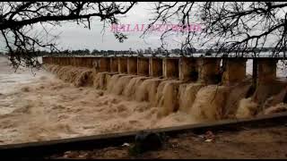 #Palar after 160 years#floods2021#ranipet#shorts#nature#riverplate #riverdale #river