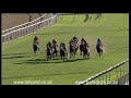 20181024 greyville express clip race 7 won by fancifilly