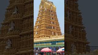 Mysore Chamundeshwari temple darshan 🙏 click 👆 to watch full video #chamundeshwari #youtubeshorts