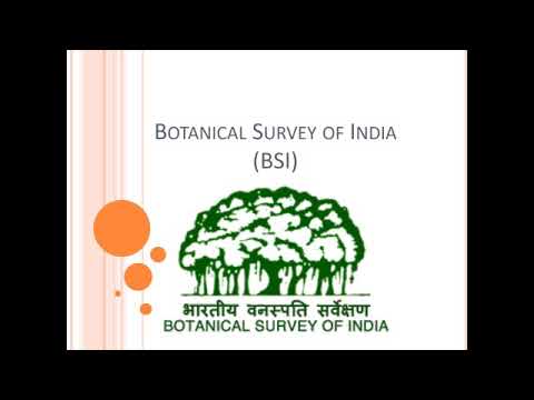 Botanical Survey Of India (BSI) - YouTube