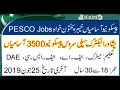 pesco jobs 2019 apply online latest advertisement jobs in pesco