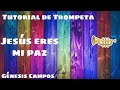 Jesús eres mi paz Tutorial de Trompeta #24