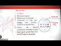 Cell The Unit Of Life L-15 | 07-07 -2022 | Amar Sir | Biology 11 PCMB B3 | 21-23 | VSA