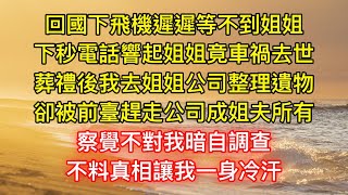 回國下飛機遲遲等不到姐姐，下秒電話響起姐姐竟車禍去世，葬禮後我去姐姐公司整理遺物，卻被前臺趕走公司成姐夫所有，察覺不對我暗自調查，不料真相讓我一身冷汗