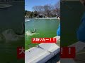 【川越水上公園】流水プールに大物いた！【プールフィッシング】