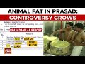 Tirupati Laddu Controversy Escalates: Animal Fat Found In Prasadam | TDP Vs YSRCP | India Today