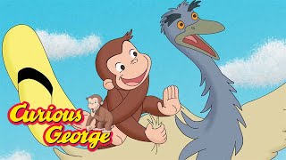 Curious George 🐵 George's Safari Adventure 🐵 Kids Cartoon 🐵 Kids Movies