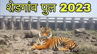 SHEDGAON BRIDGE || शेडगांव पुल 2023 || JALGAON MAHARASHTRA INDIA #shelgaonbridge #maharashtra