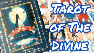 🌟開封動画🌟 Tarot of the Divine🧝‍♀️ タロットオブザディバイン開封✨✨【選択式プチリーディングあり🍀】