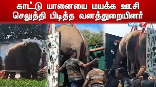 காட்டு யானையை மயக்க ஊசி செலுத்தி பிடித்த வனத்துறையினர் | Elephant Viral Video | Palacode