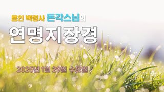 용인 백령사 돈각스님의 '연명지장경' - 2025년 1월 29일 수요일