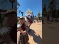 I met Astrid and Stormfly at How to Train Your Dragon Isle of Berk & Hiccup was there! Epic Universe