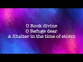 Shelter In The Time Of Storm ~ Dale Brown ~ lyric video